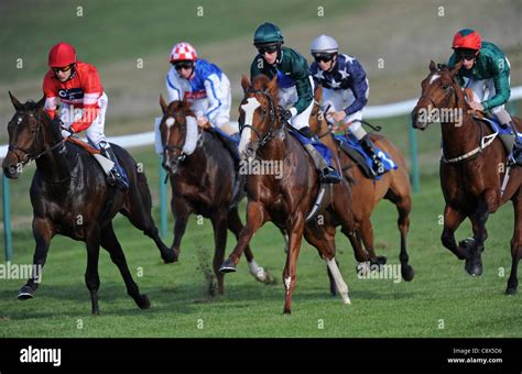 Racehorses And Jockeys In Action During A Race Stock Photo Alamy