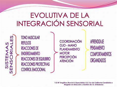 Ppt IntegraciÓn Sensorial Powerpoint Presentation Free Download Id4927164