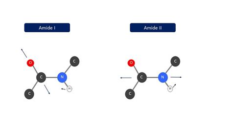 8 Representation Of Vibrations Constituting Protein Backbone Amide I