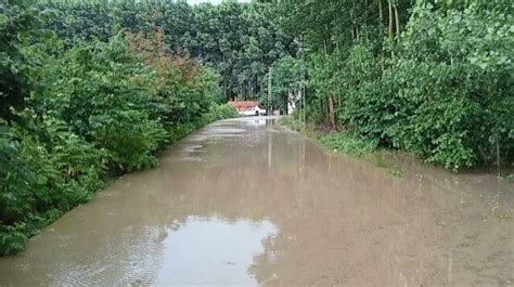 Samsun da sağanak Tarım arazileri ve iş yerleri sular altında kaldı