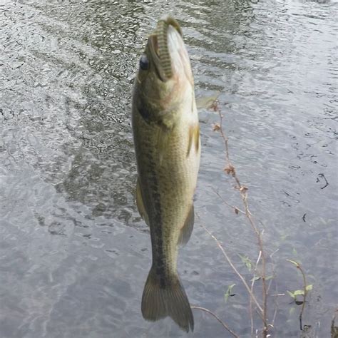 Best5Zach Outdoors: Small Lake Fishing Report 3/26-27/16