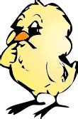 ANIMATED CHICK - ClipArt Best