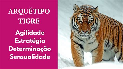 Arquétipo Tigre Ativação Poder Sedução Sensualidade Estratégia