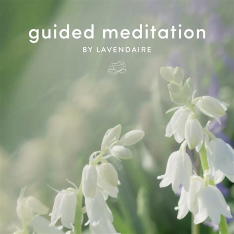 Guided Meditation for Anxiety & Stress - Lavendaire