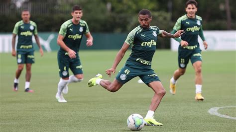 Atividades T Cnicas Palmeiras Finaliza Prepara O Para A Final Da