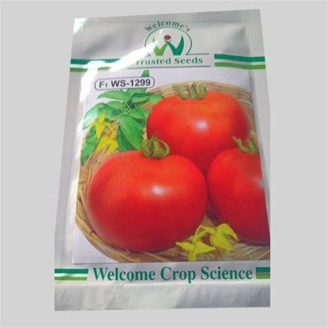 Red Welcome Hybrid Tomato Seeds For Farming Kitchen Garden At 2000000