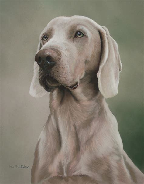 Mark Whittaker Pet Portrait And Wildlife Artist Original Pastel Painting