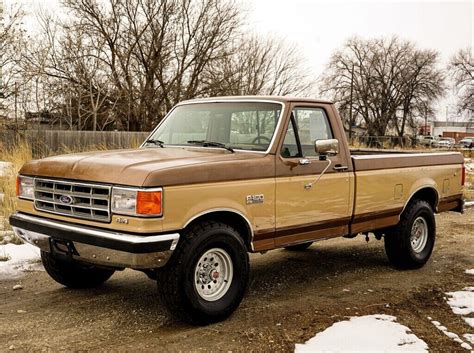 Work Truck Rarity 1988 Ford F 150 XL Barn Finds