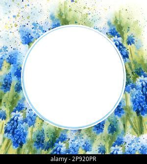 Watercolour Round Frame With Blue Hyacinths Banner With Spring Flowers