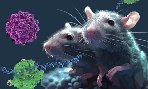 Advances In Transgenic Mouse Models Institute Of Clinical Medicine