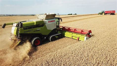 Claas Lexion Terra Track In The Field Harvesting Wheat Harvest