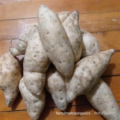 Local Organic Sweet Potato Camote Kamote Order Pricekilo Farm2metro