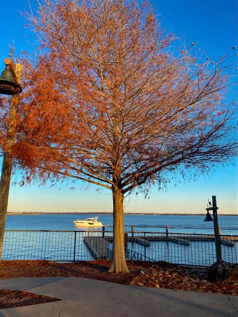 Landscape photography | Landscape photography, Autumn trees, Photography