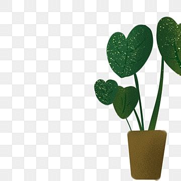 Plant Pots Png Transparent Potted Plants Green Plants Plant Pot