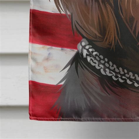 Pudelpointer Dog American Flag Flag Canvas House Size, House Size - Ralphs