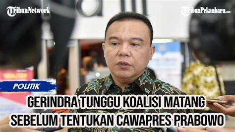 Gerindra Tunggu Koalisi Matang Sebelum Tentukan Cawapres Prabowo Youtube