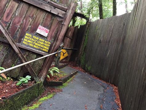 Confusion Hill In Northern California Is A Place That Defies Physics