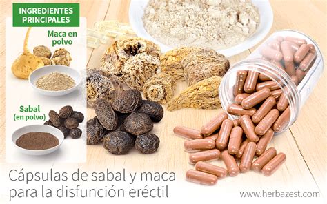 C Psulas De Sabal Y Maca Para La Disfunci N Er Ctil Herbazest