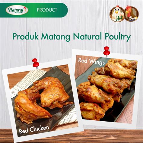 Jual Ayam Matang Natural Poultry Natural Poultry