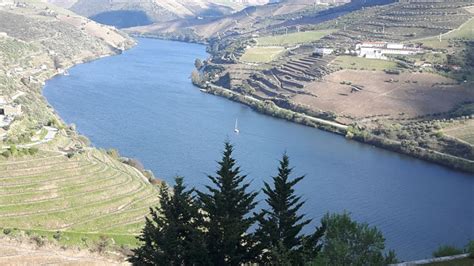 Full Day Private Tour Porto City Douro Valley