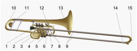 Trumpet And Trombone Combined Hd Png Download Transparent Png Image