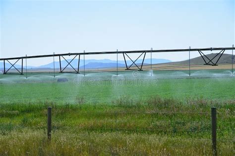 Sod Farm Irrigation Equipment Stock Image - Image of grass, equpment ...