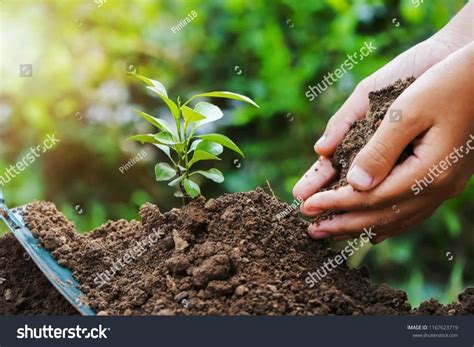 Form: Powder FUNGICIDES, 500 g at best price in Bikaner | ID: 2851650295033