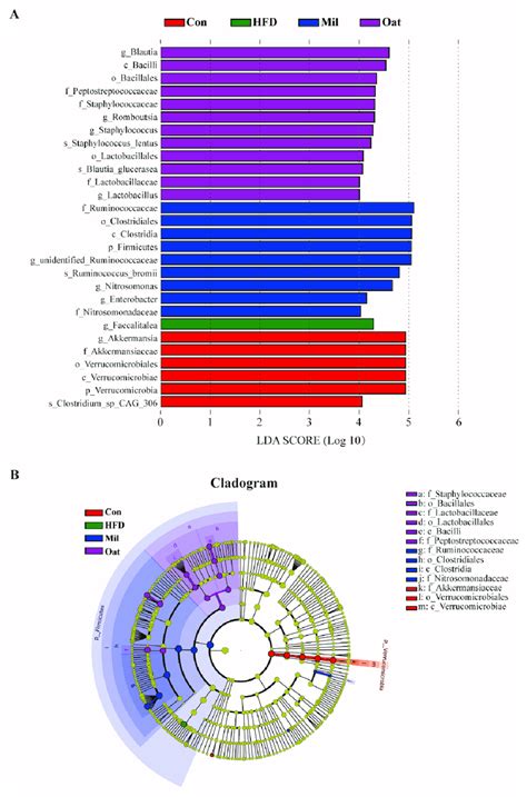 Linear Discriminant Analysis Lda Effect Size Lefse Analysis Of The