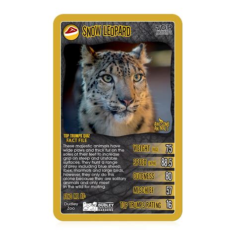 Awesome Animals Top Trumps Card Game