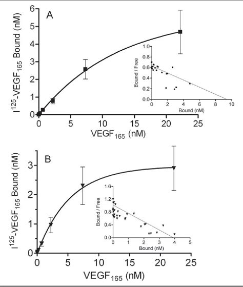 Figure From A Synthetic Glycosaminoglycan Mimetic Binds Vascular