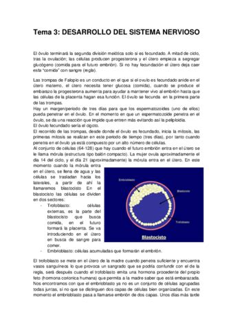 Tema Desarrollo Del Sistema Nervioso Pdf