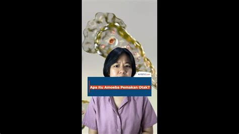 Apa Itu Amoeba Pemakan Otak YouTube