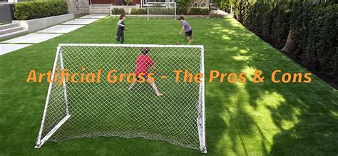 Artificial Grass - The Pros and Cons - Here's What You Need To Know