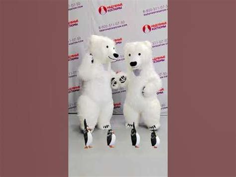 Белые мишки танцуют #тренд с пингвинами Polar bears dance with penguins ...