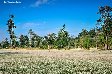 Visiting Namdapha National Park, Arunachal Pradesh | The Travelling Slacker