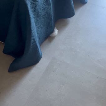 Karol Rosalin Krosalin Abdullah Ozdemir Nude Leaks OnlyFans Leaked Models The