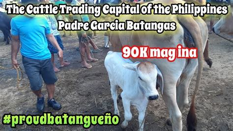 Ka Tropang Magbabaka At The Cattle Trading Capital Of The Philippines