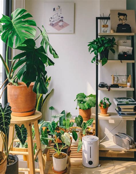 It's Time to Grow Plants at Home - My Daily Magazine - Art, Design, DIY