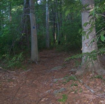 jacobs pond conservation area