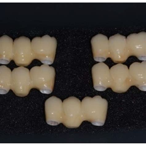 Samples with zirconia framework and ceramic rich in leucite veneer ...