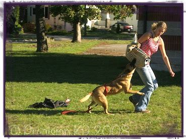 Personal Protection Dog Training