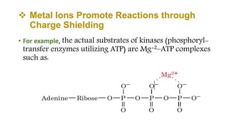 Catalysis mechanisms