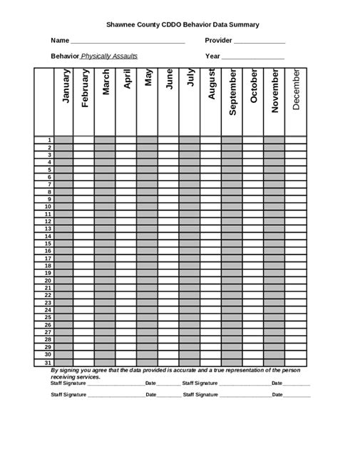 Shawnee County Cddo Behavior Data Summary Doc Template Pdffiller