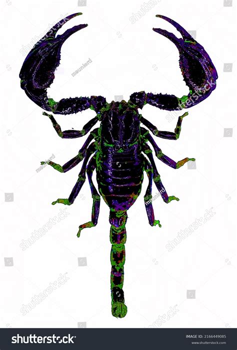 2645 8 Legged Creature Images Stock Photos And Vectors Shutterstock