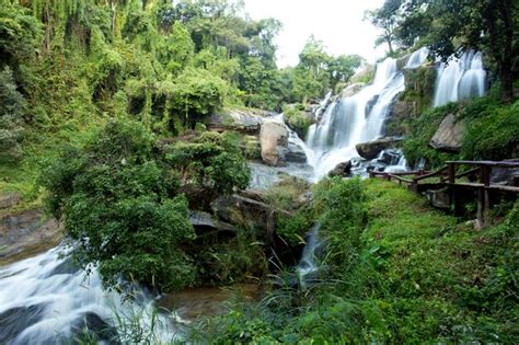 Premium Photo Doi Inthanon In Chiang Mai Is One Of The Most Popular