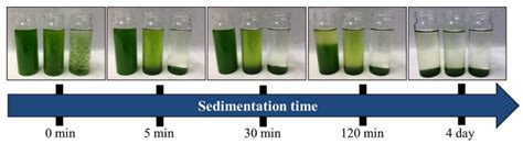 Applied Sciences Free Full Text Flocculation Harvesting Techniques