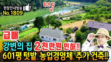 급매 사정상 2천만원 인하 강변 전망의 전원주택 매매 급매물 601평의 텃밭 농업경영체 등록 및 추가 건축 가능 고급