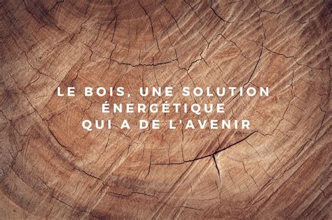 Le Bois Une Solution énergétique Qui A De Lavenir Tria