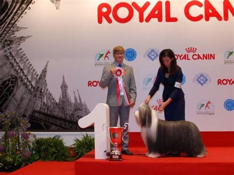 World Dog Show 2015 il cane più bello del mondo è Ronny un bearded