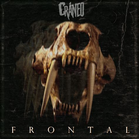 FRONTAL | Cráneo